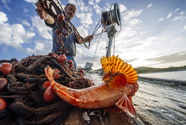 Ribarstvo i akvakultura