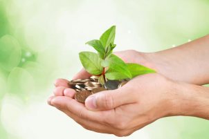 shutterstock_263373776_cr