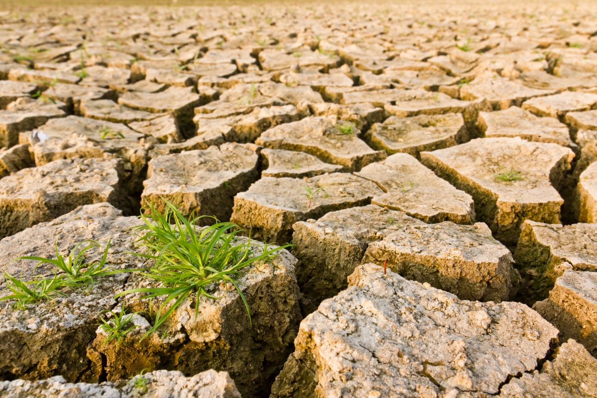 Najava ponovnog otvaranja Poziva na dostavu projektnih prijedloga Shema za jačanje primijenjenih istraživanja za mjere prilagodbe klimatskim promjenama