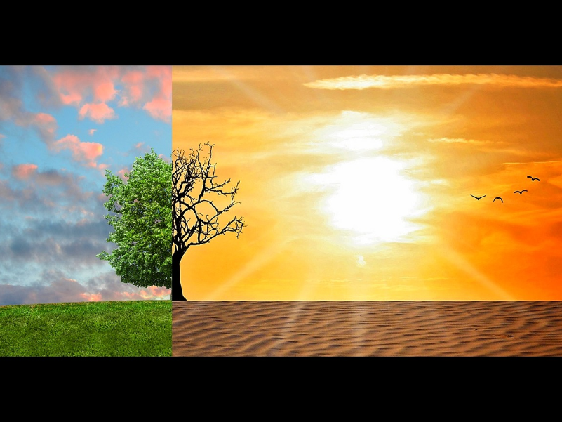 Svjetska virtualna konferencija o klimatskim promjenama