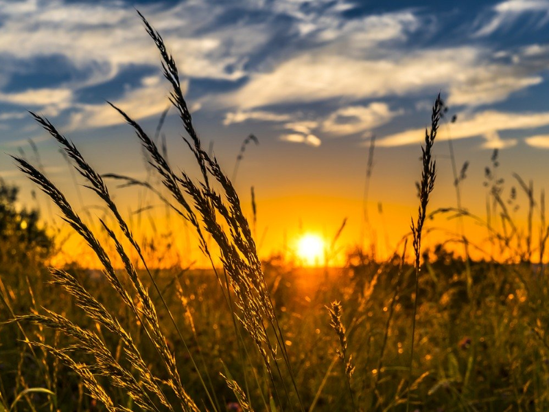 Utjecaj vremena, klime i klimatskih promjena na poljoprivrednu proizvodnju