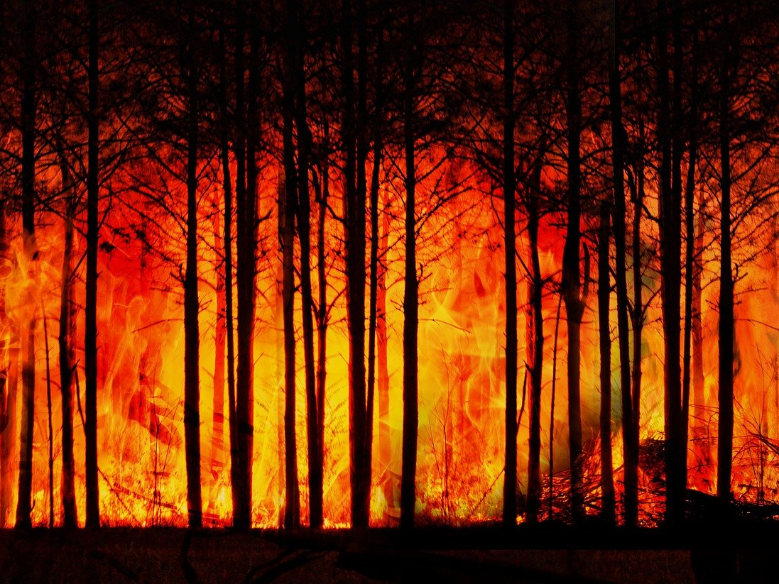 Ekonomski gubici od vremenskih i klimatskih ekstrema u Europi dosegli su oko pola milijardi eura u posljednjih 40 godina